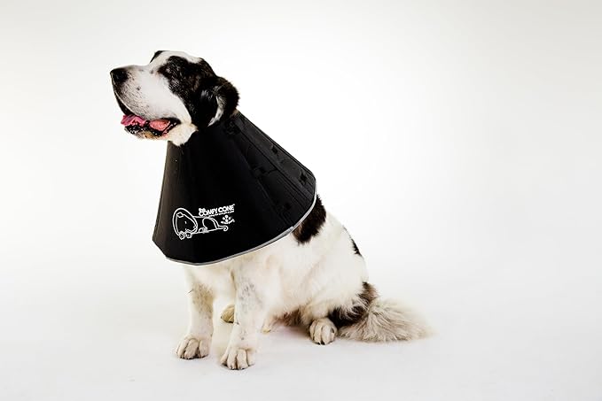 Comfy Cone Pet Cone for Dogs, Cats, XX-Large, Black - Comfortable Soft Dog Cone Collar Alternative for After Surgery, Wound Care, Spay, Neuter - Dog and Cat Recovery Collar