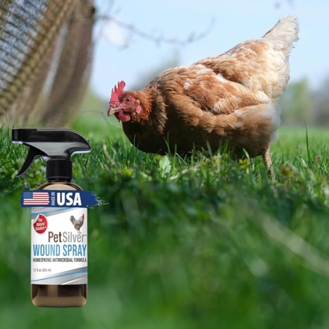 PetSilver Wound Spray Chicken & Bird Formula with Patented Chelated Silver, Healing Aid for Pecking Sores, Bumble Foot, Cuts, Wounds, Burns, and Skin Irritations, Chicken Care, Made in USA, 12 fl. oz.