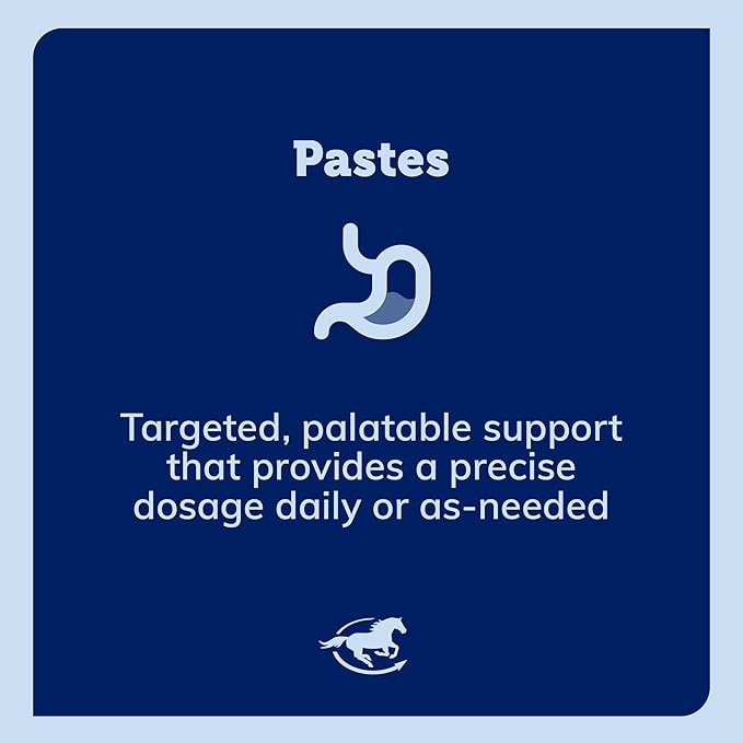 SmartPak SmartShip & Show Paste Travel Ready Probiotics & Prebiotics | Enriched for Digestive Health to Support Your Horse During Trailering, Competition & Stress, Butterscotch Flavor, Pack of 6 Tubes