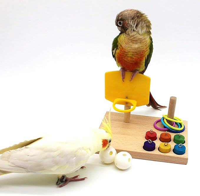 QBLEEV Bird Toys, Budgie Bird Trick Tabletop Toys, Training Basketball Stacking Color Ring Toys Sets, Parrot Chew Ball Foraing Toys, Pet Education Play Gym Playground Activity Cage Foot Toys