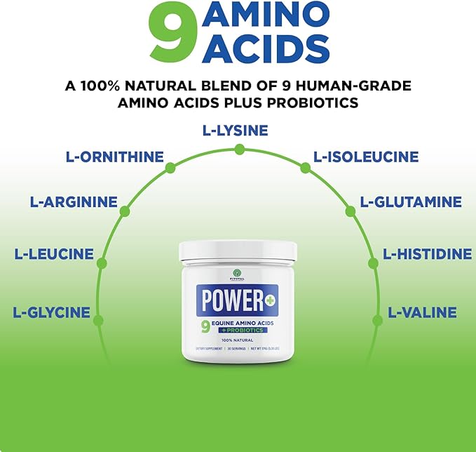 Power+ Horse Supplement (174g/0.38lbs - 30 Servings) - 9 Equine Amino Acids Plus Probiotics for Horses - No Added Sugar, No Soy, No Fillers - Horse Joint Support Supplement