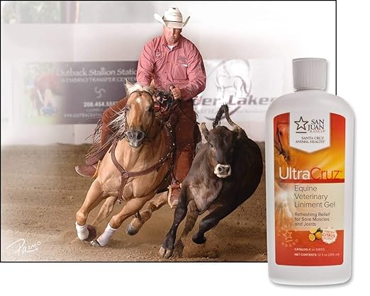 UltraCruz - sc-516110 Veterinary Liniment Gel for Horses, 12 oz