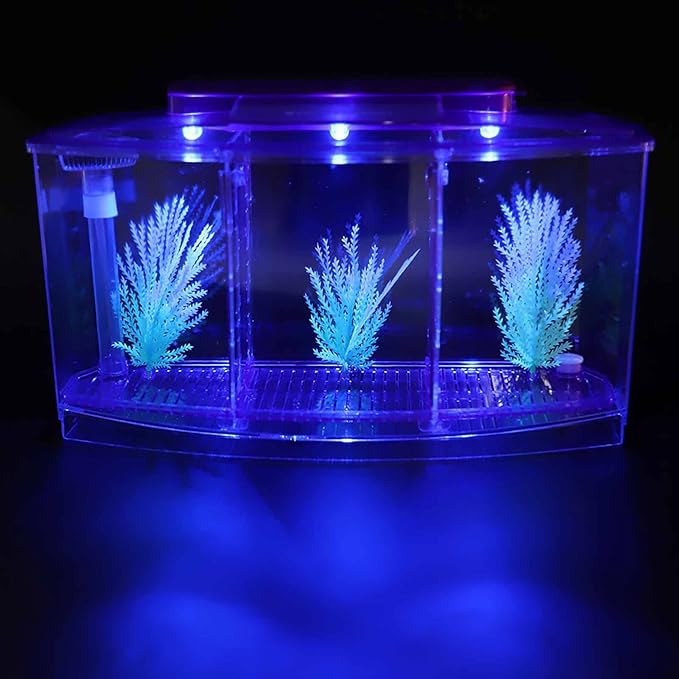 AYNEFY LED Acrylic Three Divisions Breeding Isolation Box for Small Fishes withLights and Grass ()