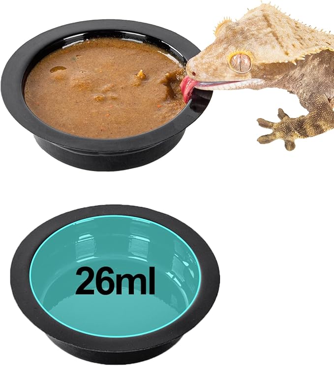 WACOOL Magnetic Reptile Ledge, Acrylic Gecko Feeding Ledge with 6PCS Cups, Reptile Food Water Feeder Dish for Geckos Iguana Chameleon Pets (Cups)