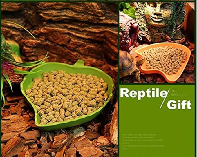 2 pack Leaf Reptile Food and Water Bowl for Pet Aquarium Ornament Terrarium Dish Plate Lizards Tortoises or Small Reptiles