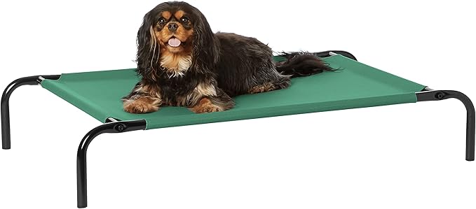 Amazon Basics Cooling Elevated Dog Bed with Metal Frame, Small, 36 x 22 x 7.5 Inch, Green