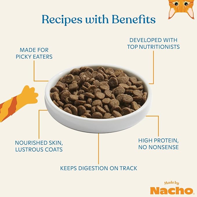 Made by Nacho Bone Broth Infused Dry Cat Kibble - Digestive Support, Cage-Free Turkey and Pumpkin - Premium Grain-Friendly Cat Food 4lb Bag, Limited Ingredients