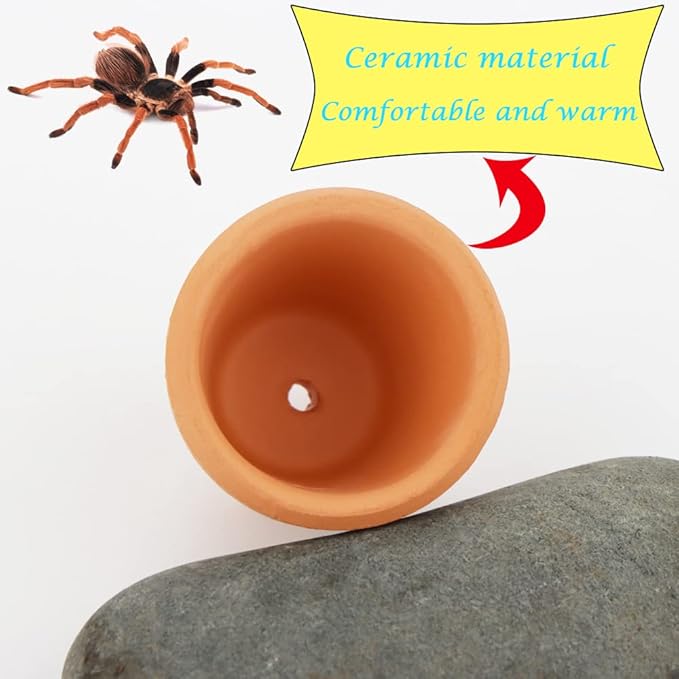 2 Pcs Spider Ceramic Small Hideout Shelter, with 6 Pcs Micro Water Bowl for Tarantula Scorpion Millipede Spider Tiny Reptile