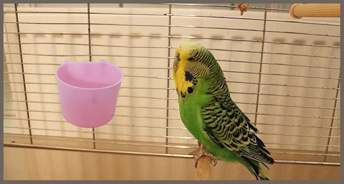 40 Pack Cage Cups Birds Feeders Seed Bowl Chicken Feeding Watering Dish Rabbit Water Food Hanging Wire Cages Box 8oz Coop Cups for Pet Parrot Parakeet Gamefowl Poultry Pigeon (Pink)