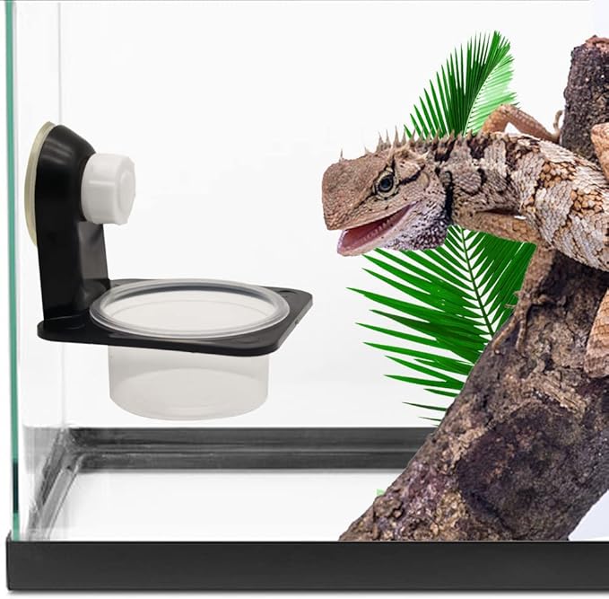 Reptile Feeding Cups Water Bowl Double Crested Gecko Feeding Ledge with 10 Pcs 0.5oz Bowls，Detachable Suction Cup Reptile Feeding Dish Feeder for Lizard Tortoise Reptile Spider Gecko (Single)