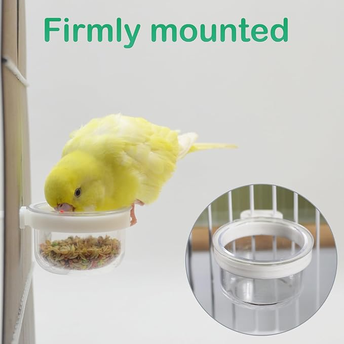 6 Pcs Small Bird Plastic Food Cup, Parrot Feeders Water Cage Bowls Convenient Hanging Food Feeder Box for Bird Parrot Cockatiel Small Animal