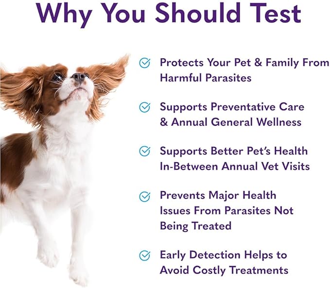 MySimplePetLab Routine Dog Stool Test Kit | Fast and Accurate Worms and Giardia Test for Dogs | Mail-in Stool Sample Kit Dog Test for Early Detection of Worms and Giardia