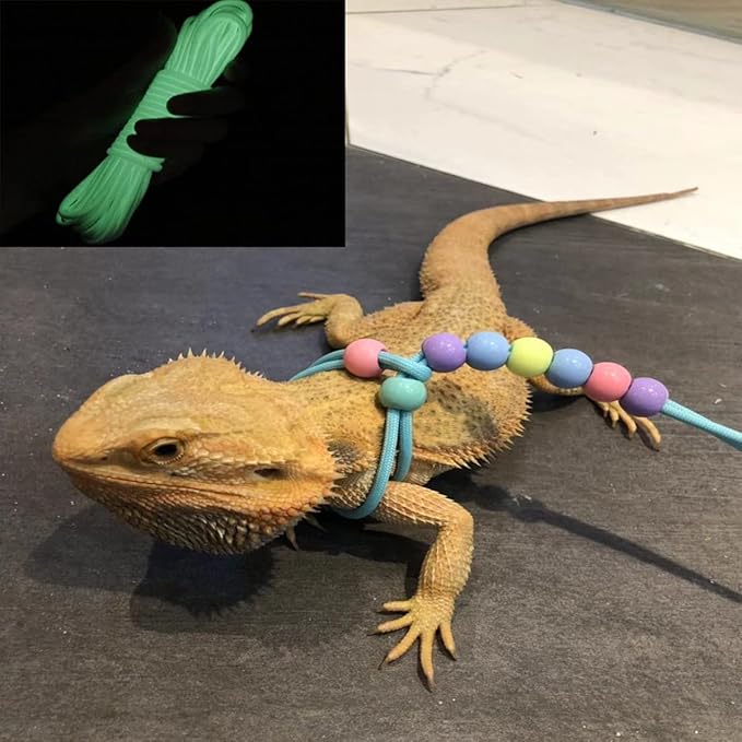 1 Pcs Adjustable Lizard Harness Adjustable Walking Harness Bearded Dragon Leash Reptile Dragon Leash Adjustable Harness Lead for Small Animal Hamster Reptiles