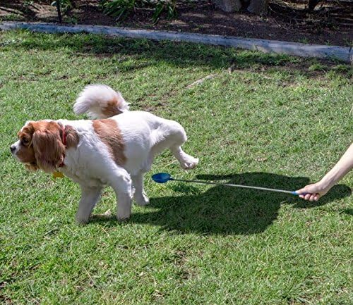 P-Scoop Dog Urine Collector - Reusable and Telescopic Dog Urine Catcher extends to 29"