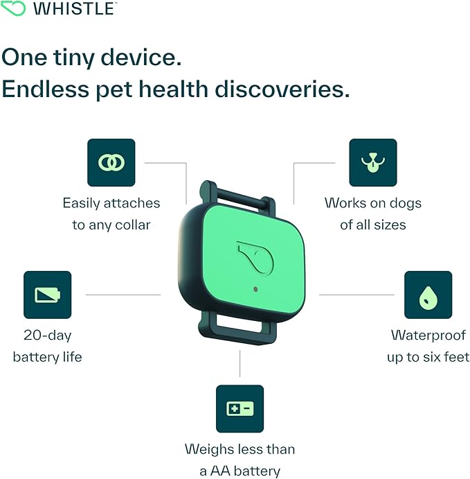 Whistle Health Smart Device | Dog Health and Fitness Tracker | Track Scratching, Licking, Drinking, Eating, Sleeping, and Activity, Green