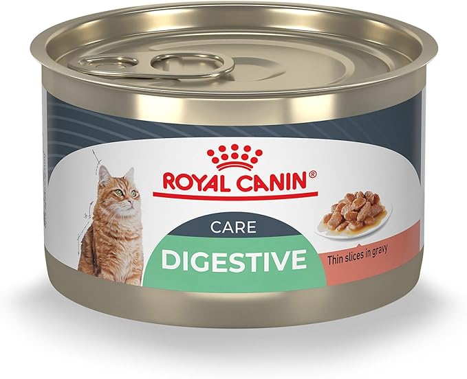 Royal Canin Feline Digestive Care Thin Slices in Gravy Wet Cat Food, 5.1 oz can (24-Count)