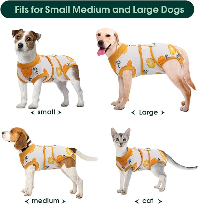 Kuoser Recovery Suit for Dogs Cats After Surgery, Professional Pet Recovery Shirt Dog Abdominal Wounds Bandages, Substitute E-Collar & Cone,Prevent Licking Dog Onesies Pet Surgery Recovery Suit