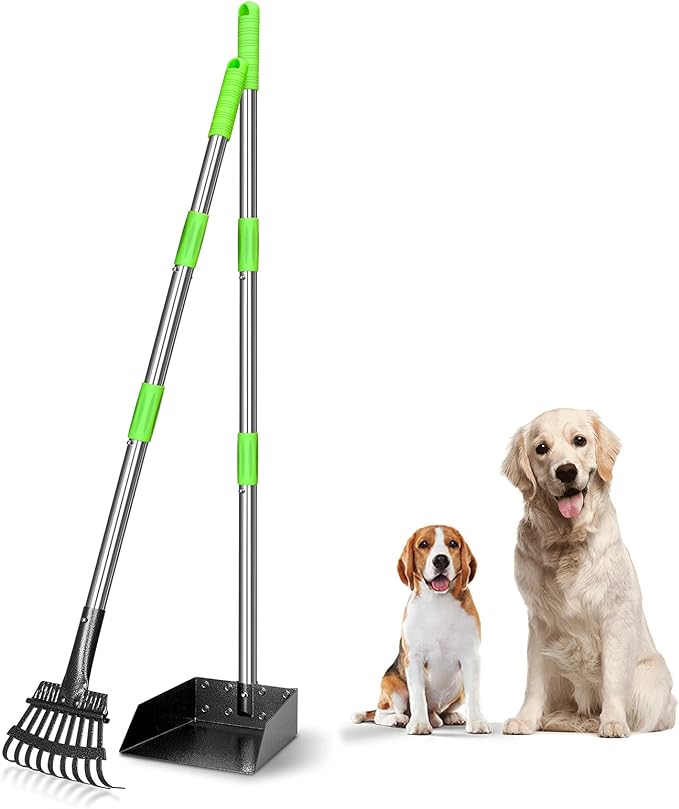 TOOGE Pooper Scooper, Dog Pooper Scooper Long Handle Stainless Metal Tray and Rake for Large Medium Small Dogs Heavy Duty (Green) (A-Standard)