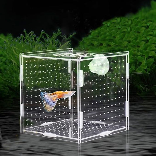 PINVNBY Acrylic Fish Breeding Box，Guppy breeding Box Acrylic Fish Isolation Box Aquarium Incubator with Suction Cups for Guppy Shrimp Small Baby Fishes（3.9 * 3.9 * 3.9 in）