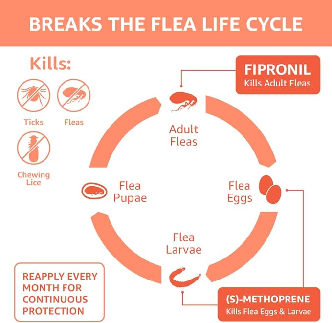 Amazon Basics Flea and Tick Topical Treatment for Small Dogs (5 -22 pounds), Unscented, 6 Count (Previously Solimo)