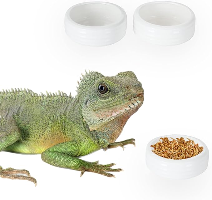 Reptile Food Bowls Ceramic Round Reptile Water Food Dish, Pet Food Bowl for Lizards, Small Snakes, Young Bearded Dragons, Gecko Tortoise Spider (White, Small-2Pack)