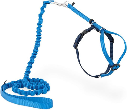 PetSafe Come with Me Kitty Harness and Bungee Leash - Medium, Royal Blue