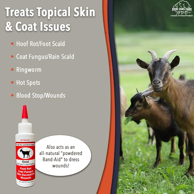 Four Oaks Farm Ventures, Goat Hoof & Coat Powder - Wound Care, Heals/Prevents Foot Rot, Skin Problems - All Natural, Non-Caustic, Easy to Use (2.5 oz)