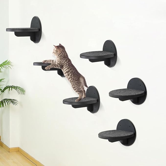 Y&ME YM 6-Packs Cat Climbing Shelves Wall Mounted, Cat Wall Steps Shelves, Cat Wall Shelves with Scratching Pad, Cat Wall Furniture for Cats Sleep Climb Play, Cat Shelves Cat Stairs Cat Ladder (Black)