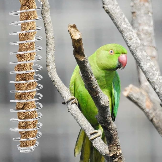 DONGKER 2 PCS Parrot Treat Holder,Stainless Steel Bird Fruit Vegetable Stick Skewer Bird Feeder Toy for Parrot Bird Parakeet Cockatiels