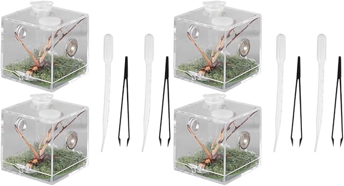 balacoo 4 Sets Jumping Spider Enclosure: Spider Cage Habitat Terrarium Micro Scorpion Droppers Reptile Hide Clear Jumping Enclosure Breeding Box Case with Breeding Tweezers Tank