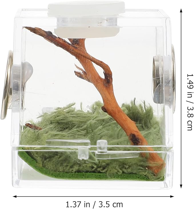 Mipcase 2pcs Jumping Spider Enclosure, Acrylic Spider Terrarium Transparent Jumping Spider Habitat for Jumping Spider Accessories