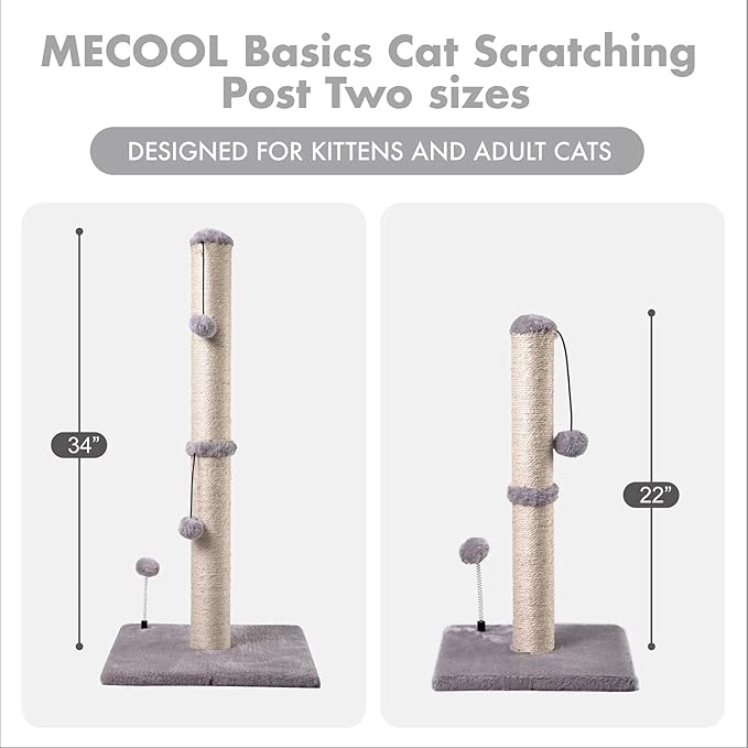 Cat Scratching Post Premium Basics Kitten Scratcher Sisal Scratch Posts with Hanging Ball 22" for Kittens or Smaller Cats (22 inches for Kitten, Gray)