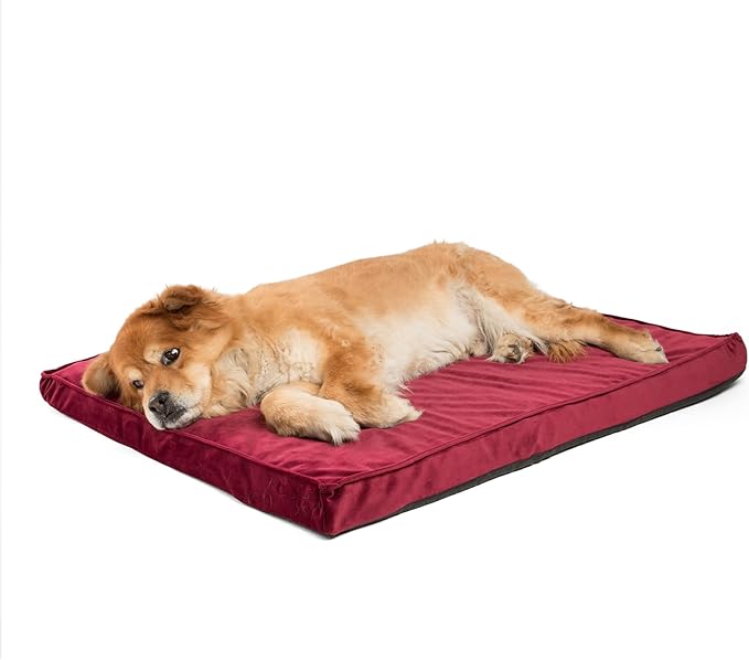 Best Friends by Sheri Dog Bed Cover Replacement for Nap Mat Dog Bed, Velvet, Wine Red, 27" x 36"