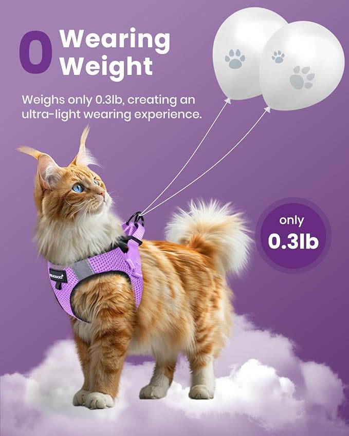 Cat Harness, Cat Leash and Harness Set for Walking Escape Proof, Harness for Small Cats/Small Dogs, Large Kitten/Puppy Harness and Leash, Harness for Cats S-XXL(Modern Violet, Medium)