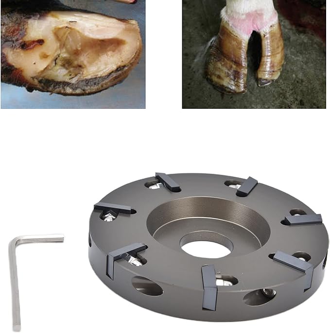 Electric Hoof Tool, Cow Hoof Trimming Disc Plate Electric Hoof Trimming Cutter Tool for Livestock Sheep Cattles Horses Supplies