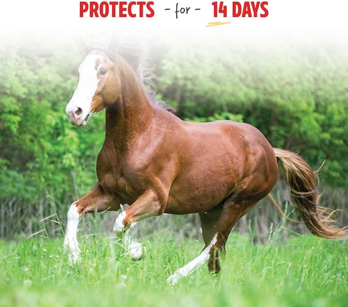 Manna Pro Pro-Force Fly Spray - Rapid Knockdown Fly Repellent for Horses - Repels More Than 70 Listed Species for up to 14 Days - 32 oz