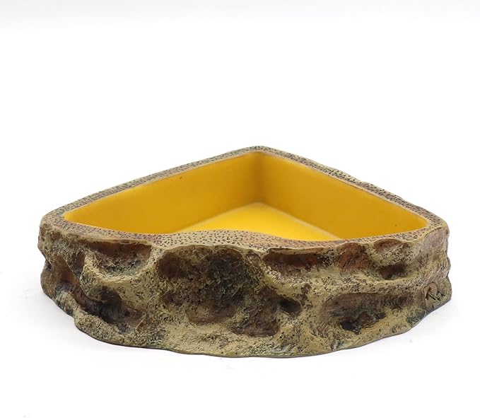 Reptile Feeder Resin Bowl Amphibian Reptile Bowl for Reptile Lizard Gecko Bearded Dragon Turtle