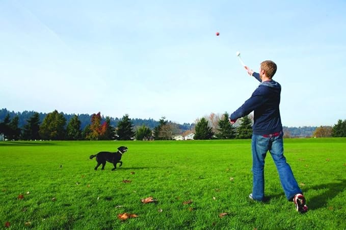 Chuckit! Dog Ball Launcher (Sport 25M - 2 Pack)