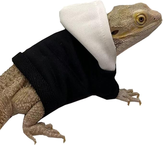 Lizard Hoodie Lizards Clothes for Bearded Dragon Geckos Reptiles Apparel Hand-Made Hoodies Skin Sweater Coat for Party