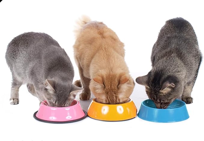 Fancy Feast Appetizers for Cats Variety Pack/2 of each-12 Total/Chicken, Tuna, Salmon, Ocean Fish/Bundle includes-100% Bonito Fish Flakes Topper & Catnip Ball Toy