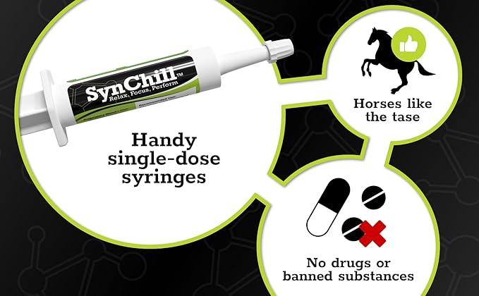 SynChill Oral Horse Calming Gel, 100% Natural & Nutritional Supplement, Lab Proven Results, Designed for Focus & Performance, Approved by Olympic Professionals & Veterinarians, Made in USA - 25-Pack