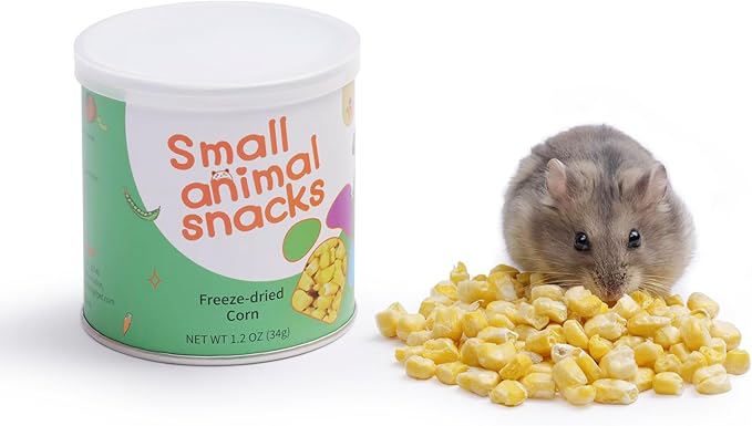 Niteangel Hamster Snack & Treats Toy - Small Animal Natural Treat for Dwarf Syrian Robo Hamsters Gerbils Mice Lemmings Degus or Other Small-Sized Pets (Freeze-dried Corn)