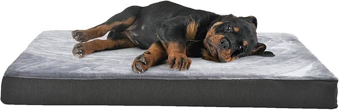 Amazon Basics Gel Foam Mattress Dog Pet Bed with Removable Cover, Large, 35.0"L x 22.0"W x 3.0"Th, Grey