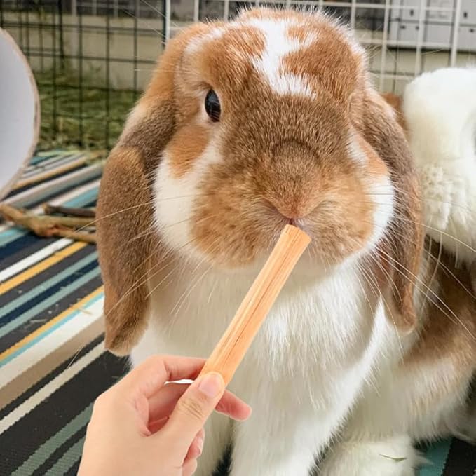 Natural Rabbit Chew Sticks,15PCS Sweet Bamboo Chew Toys,Molar Treats Snack for Guinea Pig Hamster Bunny Chinchilla, Small Animal Chew Sticks Molar Clean Teeth and Oral Health