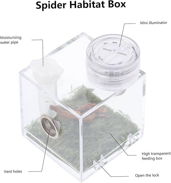 Mipcase 3pcs Box Jumping Spider Breeding Box Snail Spider Habitat Cage Jumping Spider Cage Jumping Spider Enclosure Small Humidifiers Spider Accessory Wood Little Spider Medium Acrylic