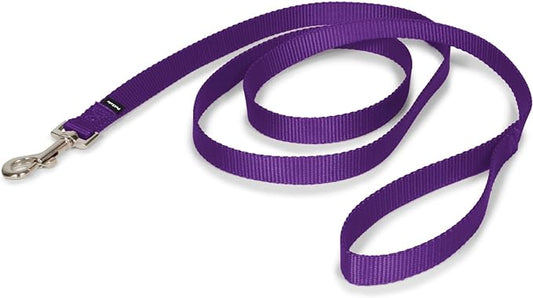 PetSafe Nylon Dog Leash – Strong, Durable, Traditional Style Leash with Easy to Use Bolt Snap – 3/4" x 6', Deep Purple