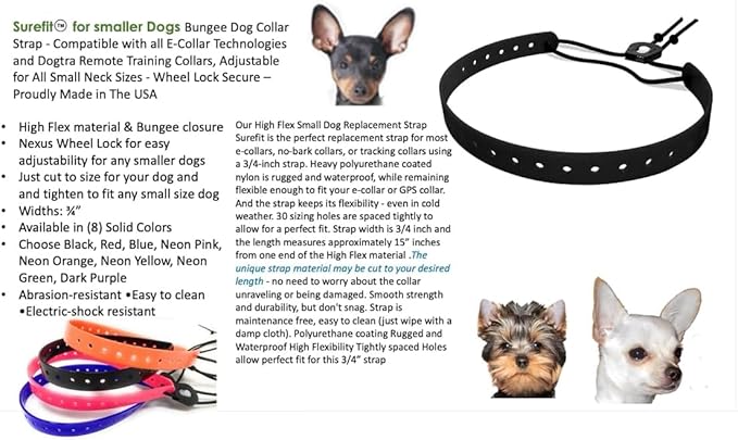 Replacement GPS eCollar with Adjustable Bungee, Multi-Hole Design, and Secure Toggle Closure for Small Dogs (Purple, Small Neck)