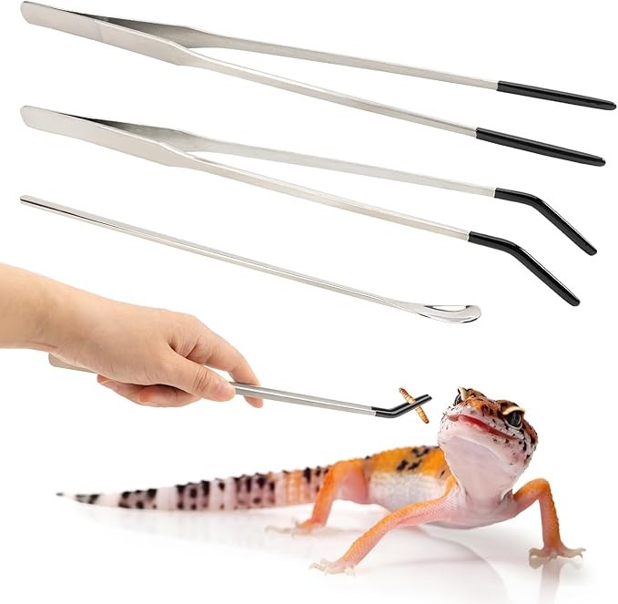3 Pcs Stainless Steel Reptile Feeding Tool Set with 2 Rubber Tipped Tongs and 1 Crested Gecko Feeding Spoon, Crested Gecko Tank Accessories for Geckos, Lizards, Bearded Dragons, and Small Animals