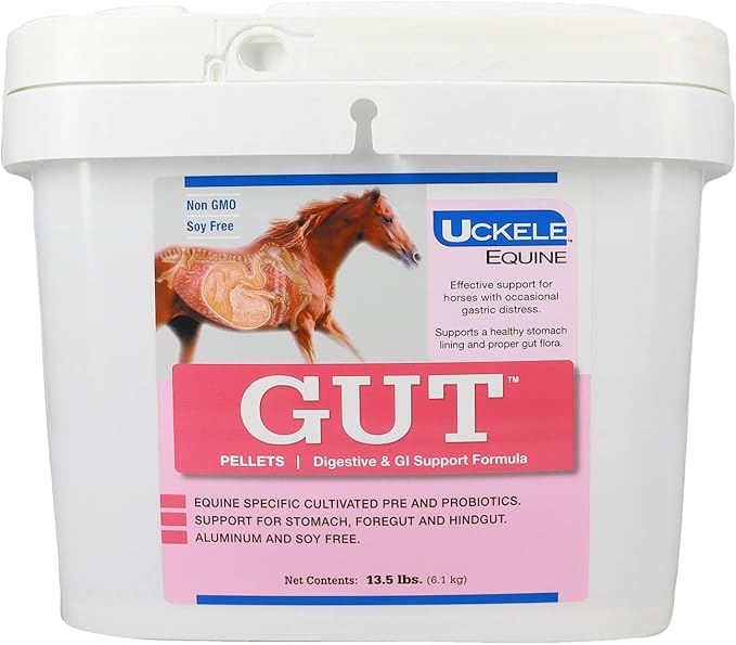 Uckele Gut Pellet - Digestive and GI Support Formula for Horses - Aluminum and Soy Free - Horse Supplement - 13.5 pound (lb)