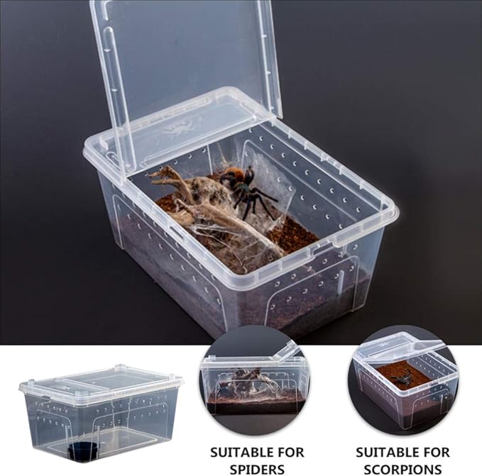 Balacoo 1 Set Acrylic Reptile Feeding Box Box Fish Breeding Case Aquarium Breeding Incubator for Snake Gecko Spider Lizard Centipede